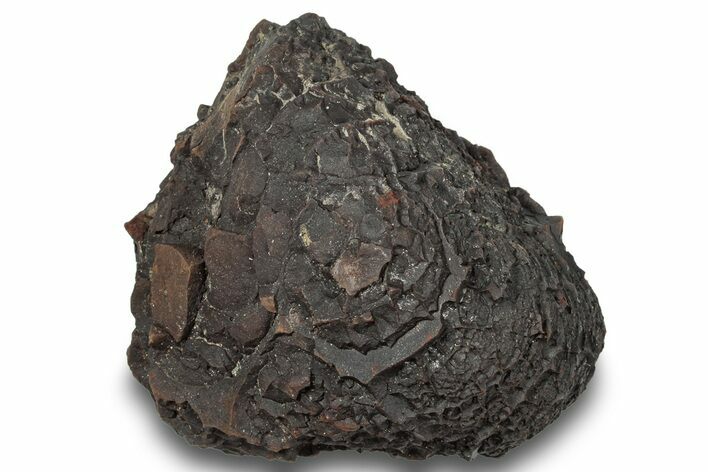 Dragon Scale Stone (Iron, Manganese, Siderite Nodule) #244965